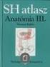 Test és egzisztencia Gabriel Marcel Sartre-kritikája