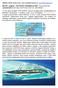 MALDÍV szigetek : THE HAVEN -PARADISE ISLAND - Észak-Malé Atoll Lankanfinolhu North Male' Atoll PO Box 2073.Tel: