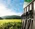 Biomassza-alapú energiatermelés és fenntartható energiagazdálkodás