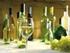 Kitöltési útmutató a szőlő és borászati termékek, valamint a pezsgő elszámolásához