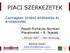 PIACI SZERKEZETEK. Csomagban történő értékesítés és árukapcsolás. Pepall-Richards-Norman: Piacelmélet 8. fejezet. Bónusz diák nem tananyag