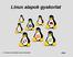 Linux alapok gyakorlat