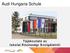 Audi Hungaria Schule. Tájékoztató az Iskolai Közösségi Szolgálatról