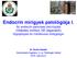 Endocrin mirigyek patológiája I. Az endocrin pancreas patológiája (Diabetes mellitus, NE daganatok) Hypophysis és mellékvese betegségei