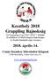 Keszthely 2018 Grappling Bajnokság G4 Grappling Liga forduló Kvalifikáció a Felnőtt Magyar Bajnokságra Az Észak-Dunántúli régió versenye