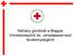 Néhány gondolat a Magyar Vöröskeresztről és véradásszervező tevékenységéről