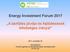 Energy Investment Forum A távfűtés jövője és fejlődésének lehetséges irányai