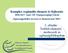 Komplex regionális elemzés és fejlesztés tanév DE Népegészségügyi Iskola Egészségpolitika tervezés és finanszírozás MSc
