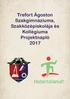 Trefort Ágoston Szakgimnáziuma, Szakközépiskolája és Kollégiuma Projektnapló 2017