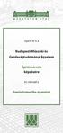 Budapesti Műszaki és Gazdaságtudományi Egyetem. Építőmérnök képzésére. Geoinformatika ágazatot