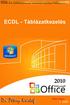 Táblázatkezelés MS Office 2010-zel