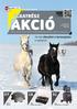 AXIÁL LAPOK 2019 FEBRUÁR