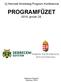 Új Nemzeti Kiválóság Program Konferencia. PROGRAMFÜZET január 28.