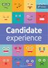 Candidate experience. Profession 2017.